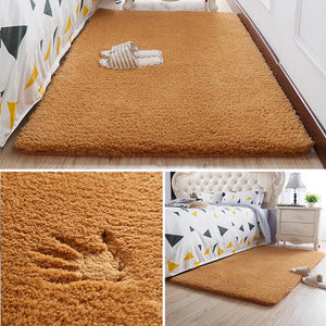 Non-Slip Door Floor Carpet