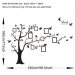 Black 3D DIY Photo Tree Wall Stickers