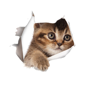 Hole View Vivid Cats 3D Wall Sticker