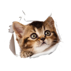 Hole View Vivid Cats 3D Wall Sticker