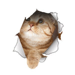 Hole View Vivid Cats 3D Wall Sticker