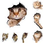 Hole View Vivid Cats 3D Wall Sticker