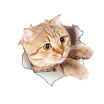 Hole View Vivid Cats 3D Wall Sticker