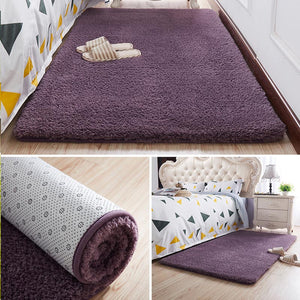 Non-Slip Door Floor Carpet