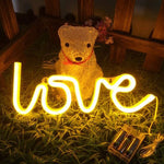 Love Neon Sign Light