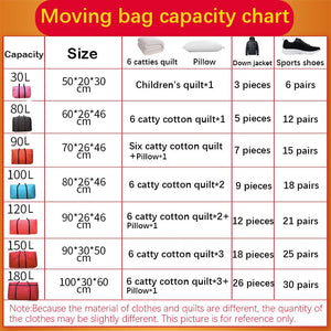 Large Organize Storage Bags